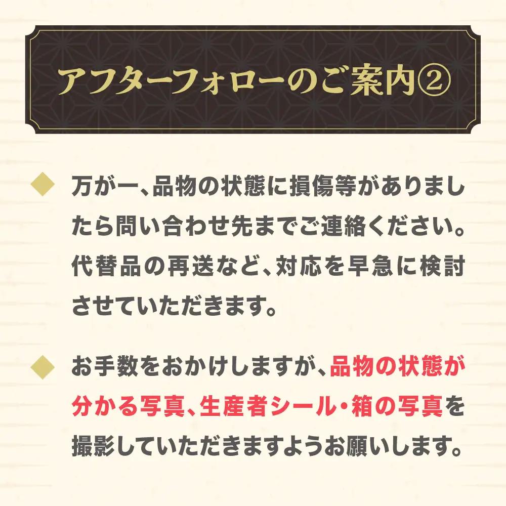 尾花沢すいか スイカ Lサイズ×2玉 令和9年産 ja-su1xx2