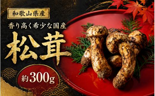 和歌山県産 香り高く希少な国産 松茸 約300g【2026年10月中旬頃～11月中旬頃に順次発送】【OKT2】
