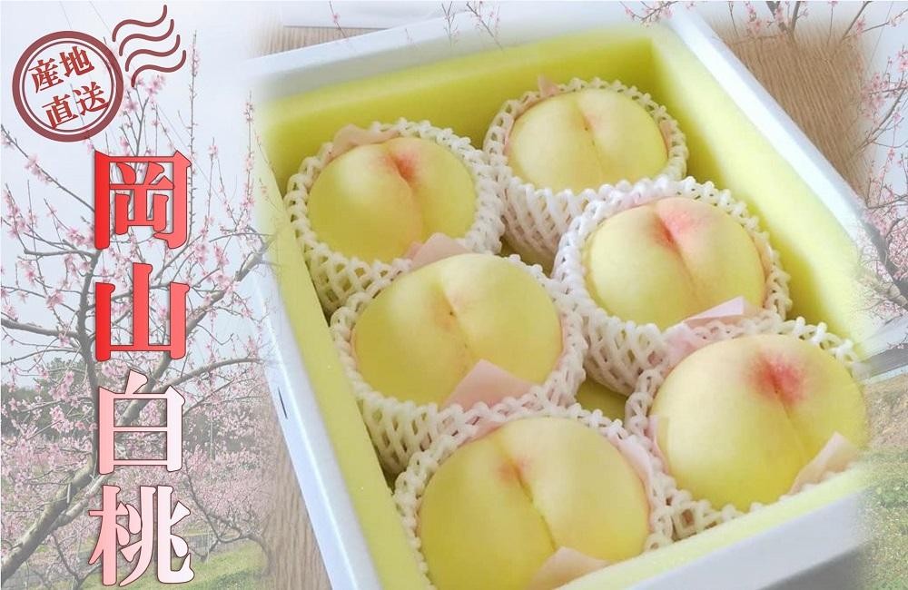 
            桃 2026年 贈答用 岡山 白桃  約2kg（5～7玉）【白桃 桃 モモ 岡山県 岡山市産 国産 フルーツ 果物 ギフト 新鮮 おすすめ 人気 贈答品】
          