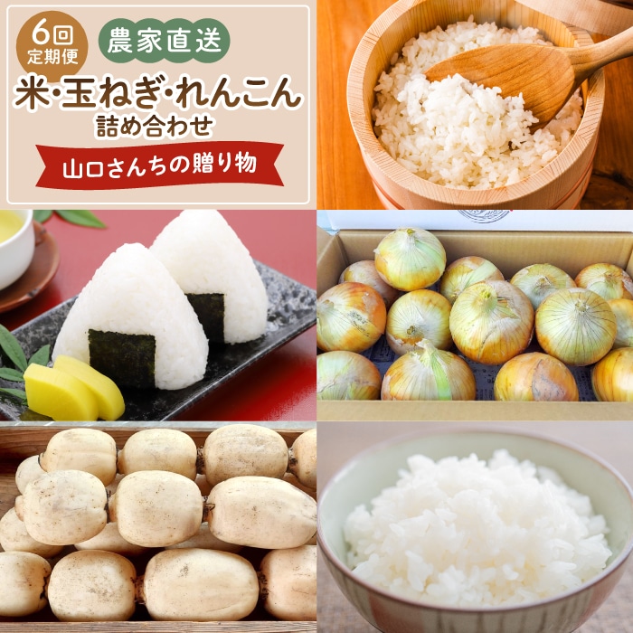 【令和8年6月以降発送】【6回定期便】 農家直送！ 特産物 詰合せ 山口さんちの贈り物【y'scompany】 [IAS018]