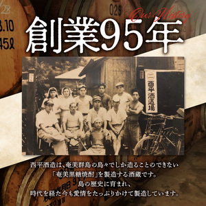 奄美黒糖焼酎 加那30度【720ml 6本】 A004-013 樫樽貯蔵 奄美大島 奄美群島 プリン体ゼロ 和製ラム酒 ロック お湯割り カクテル 蒸留酒 西平酒造 蒸留酒 本格焼酎 糖質ゼロ プリン