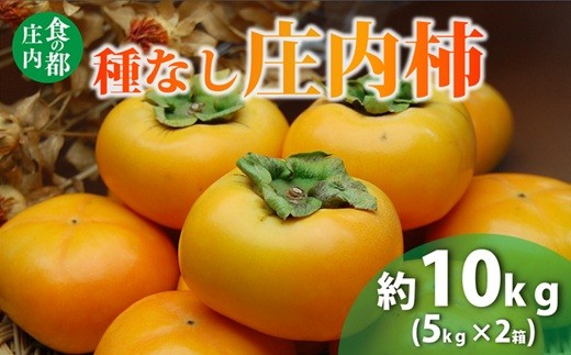 
                  食の都庄内　種なし庄内柿約10kg（約5kg×2箱）　※令和8年10月下旬頃より順次配送
                
