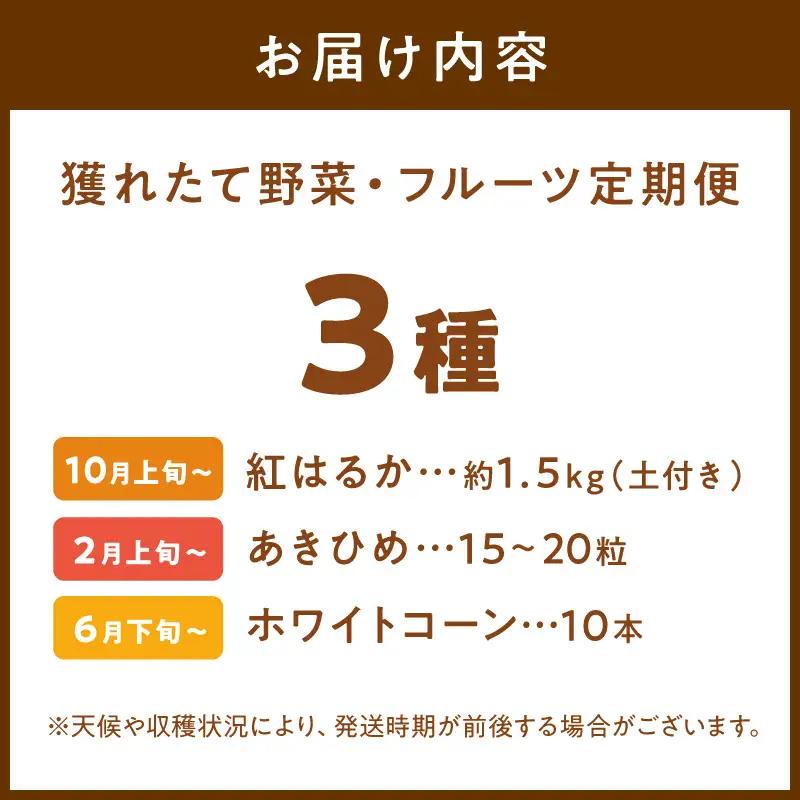 【野菜】旬野菜3回定期便｜サツマイモ.ホワイトコーン.イチゴ