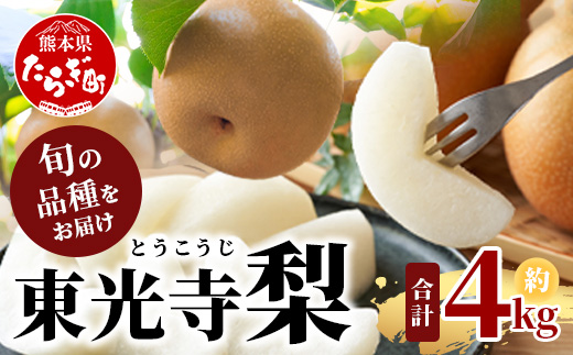 【2026年7月下旬〜発送分】東光寺 梨 4kg (8〜15玉) 1箱 完熟 幸水 豊水 秋月 新高 新興 品種 旬 果物 くだもの フルーツ 甘い 025-0572