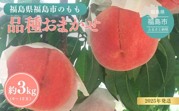 No.3113 福島の桃 約3kg品種・玉数おまかせ【2026年発送】