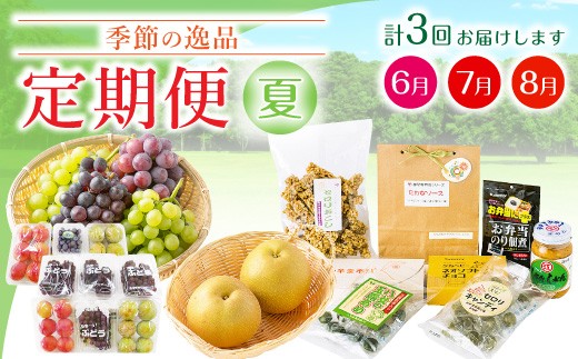 
                  C2 【3回定期便】季節の逸品 夏 特産品  定期 フルーツ 詰め合わせ すもも ぶどう デラウェア 梨
                