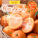 【ふるさと納税】【限定】 有田みかん 5kg 3Lサイズ 秀品 超大玉 田口みかん 温州みかん 早生みかん 晩生みかん 有田 みかん フルーツ 果物 果実 柑橘 甘い 国産 食品 食べ物 農家直送 平武農園 お取り寄せ 和歌山県 湯浅町 送料無料