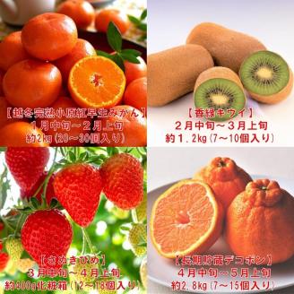 【フルーツ定期便】フルーツ王国さぬきの旬のフルーツを毎月１種類ずつお届け【G-9】