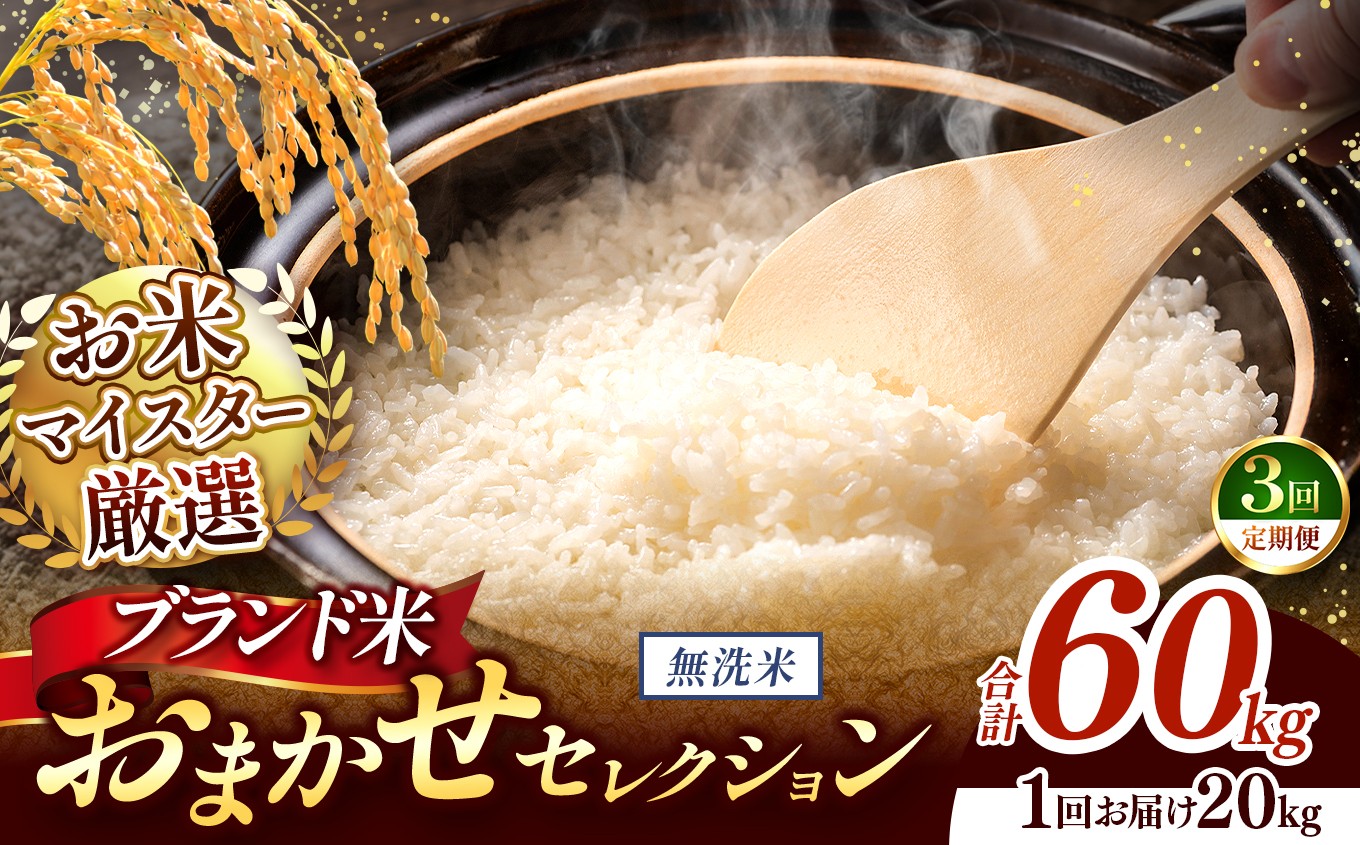
                  【 令和7年産 】おまかせ セレクション 【定期便3回】熊本県産 無洗米  ＜ひのひかり / 森のくまさん / くまさんの輝き ＞ 20kg  | 単一銘柄 米 単一米 お米 こめ 小分け 人気 コメ お米 5kg 10kg 15kg 20kg 25kg 30kg 定期便 3回 6回 12回 ブランド米 菊池川流域 家庭用 送料無料 熊本 くまもと 熊本県 和水 和水町 人気 ごはん
                