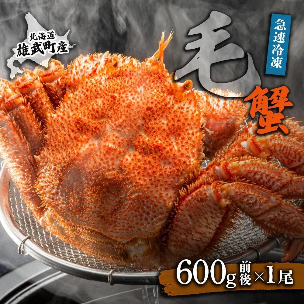 【北海道雄武町産】毛がに（冷凍）(600g前後×1)【1240702】