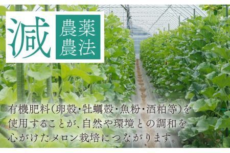 勝山産アールスメロン 2個入り（赤肉・青肉セット） ※2026年7月下旬以降順次発送 [A-060007]