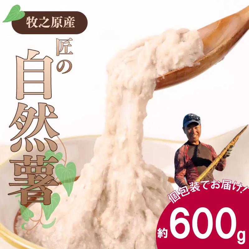 自然薯 600g  個包装 静岡県 牧之原市 自然薯 たくみファーム