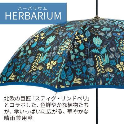 ふるさと納税 都留市 婦人長傘 StigL. ハーバリウム(ブルー)　槙田商店の職人が作る上品な日本製の晴雨兼用婦人傘 |  | 01