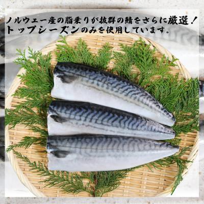 ふるさと納税 銚子市 適塩さば 昆布エキス入り 約5kg |  | 03