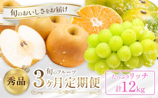旬の フルーツ 定期便 3ヶ月連続 秀品 リッチ 計12kg  日本フルーツ株式会社《8月上旬-10月末頃出荷》熊本県 荒尾市 シャインマスカット おまかせ 梨 極早生みかん 果物 フルーツ スイーツ デザート ギフト ご贈答