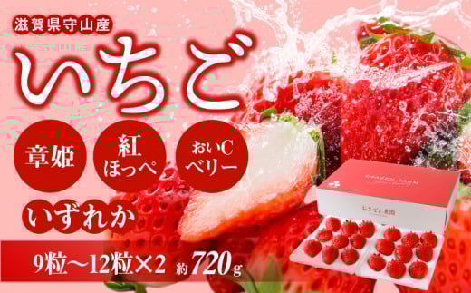 【2026年2月からお届け】いちご2ホール 9粒～12粒×2