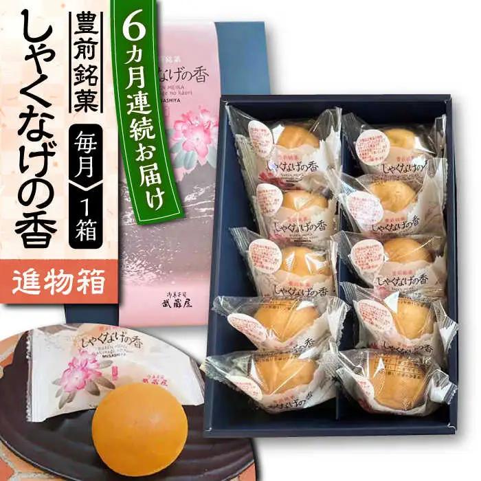 【全6回定期便】【進物箱】しゃくなげの香 10個 VBU021 白餡をカステラ饅頭の生地で包み焼き