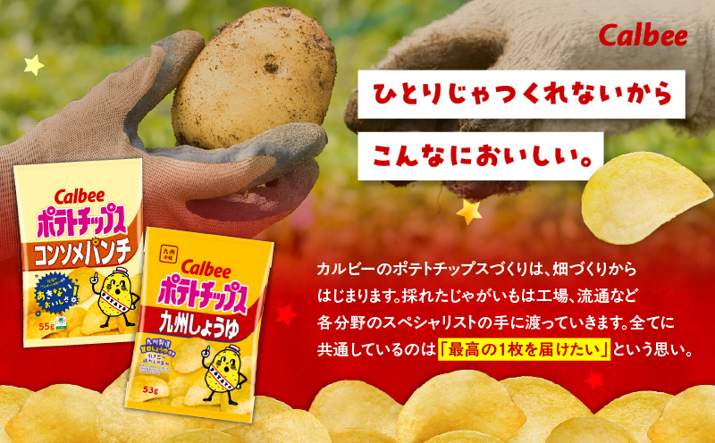 カルビー ポテトチップス 2種食べ比べセット【コンソメパンチ×九州しょうゆ】計28袋　K194-002_13