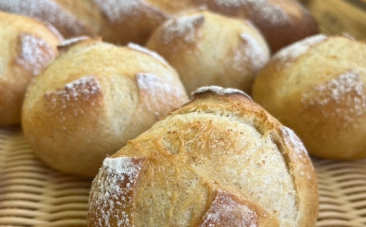 パン【全6回定期便】冷凍パン おまかせ10個セット?パン ぱん おまかせ 冷凍 国産 朝食 詰め合わせ お楽しみ アソート セット お取り寄せ 朝食 朝ごはん おやつ 軽食 ストック 美味しい おいし