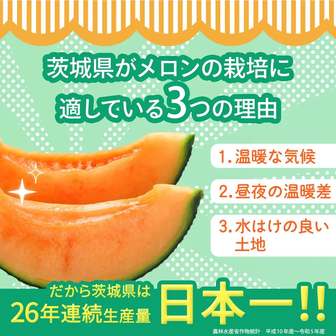 【定期便】 赤肉アールスメロン 3玉 × 12か月連続