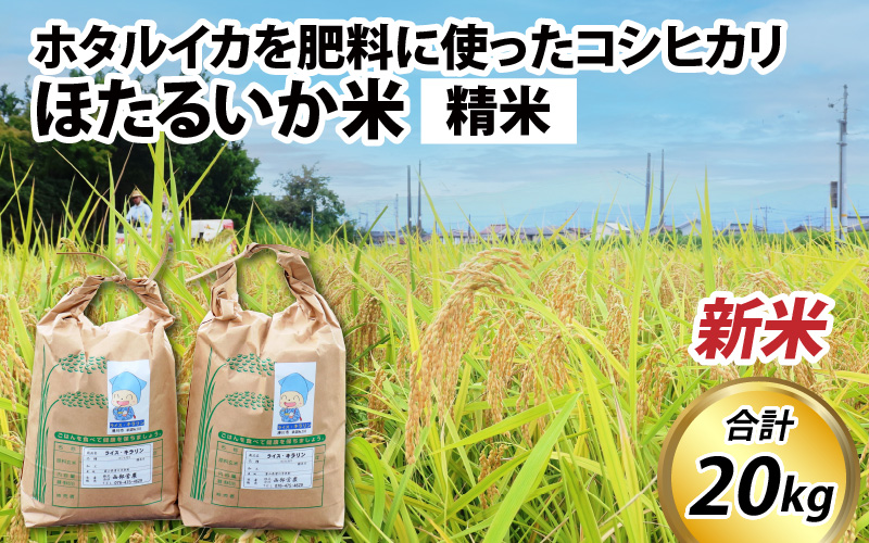 【先行予約】【新米】ほたるいか米（新米/精米20kg）25年10月以降順次配送予定