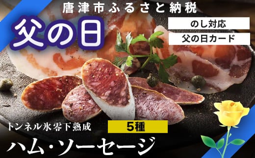 「父の日」トンネル氷零下熟成ハム・ソーセージセット TPC-2