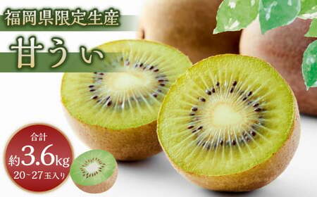 【3回定期便】福岡のリッチなフルーツ定期便 くだもの いちご キウイ 柿 【2025年10月下旬～12月下旬発送予定】