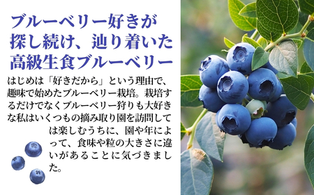 冷凍ブルーベリー 1kg（500g×2袋） きらぼしファーム ブルーベリー