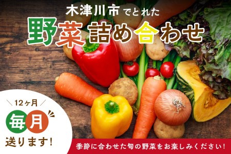 ＜京都産＞木津川市でとれた野菜詰め合わせを１２か月毎月送ります！ 野菜 やさい 詰め合わせ 定期便 野菜詰め合わせ 野菜定期便 新鮮 旬の野菜 季節の野菜 京野菜 産地直送 農産物直売所 12か月 12回　038-01