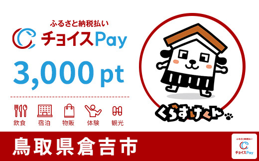 
            倉吉市チョイスPay 3,000pt【会員限定のお礼の品】
          
