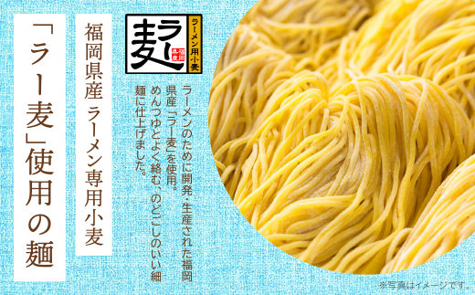 【4～8月発送】福岡県産ラー麦 冷し中華（ごまだれ付）