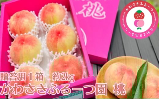 かわさきふるーつ園直送 桃 贈答用1箱　約2kg