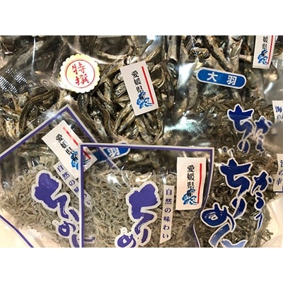 イリ子の詰め合わせ5種約1キロセット!【D22−251】【配送不可地域：離島】【1073908】