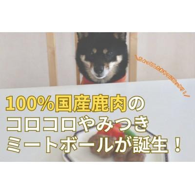 ふるさと納税 若狭町 鹿肉ドッグフード　鹿肉ミートボール(犬用)60g×10個