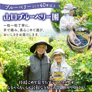 【2026年発送】 先行予約 木津川市産ブルーベリー2kg 生ブルーベリー 新鮮 国産 果物 小分け 080-03