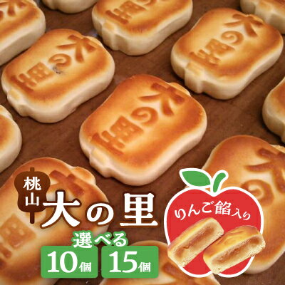 【ふるさと納税】大の里(オオノサト)10個入り【配送不可地域：離島】【1515028】