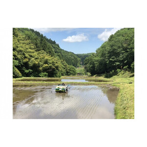 【定期便】令和8年産　出雲市産きぬむすめ　 5.5kg入り白米1袋を毎月お届け