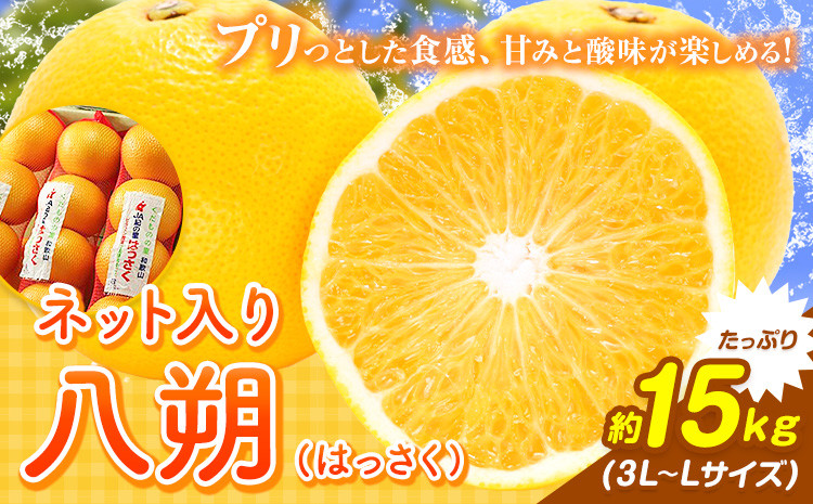 
            八朔（ネット入）約15kg（3L～Lサイズ）JAわかやま 紀の里地域本部《1月上旬-4月中旬に出荷予定(土日祝除く)》和歌山県 岩出市 産地直送 みかん 八朔 柑橘 果物 フルーツ ビタミンC たっぷり 
          