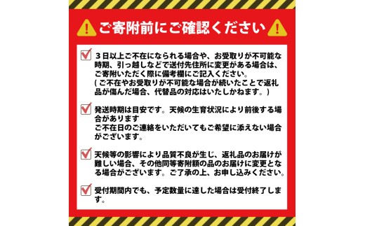 豚ミンチ 4kg (500g×8P) 真空 小分け 便利 ミンチ 豚肉ミンチ 豚ひき肉 ひき肉 挽き肉 挽肉 ひきにく 豚肉 豚 buta niku ぶた肉 ブタ肉 ぶたにく butaniku ポーク