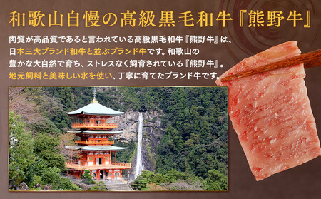 ［熊野牛］ロースの焼肉 約500g