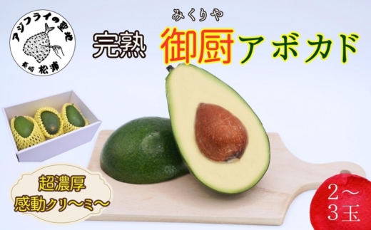 完熟国産アボカド「御厨(みくりや)アボカド」2玉～3玉( アボカド 国産 御厨アボカド 果物 )【149-0002】