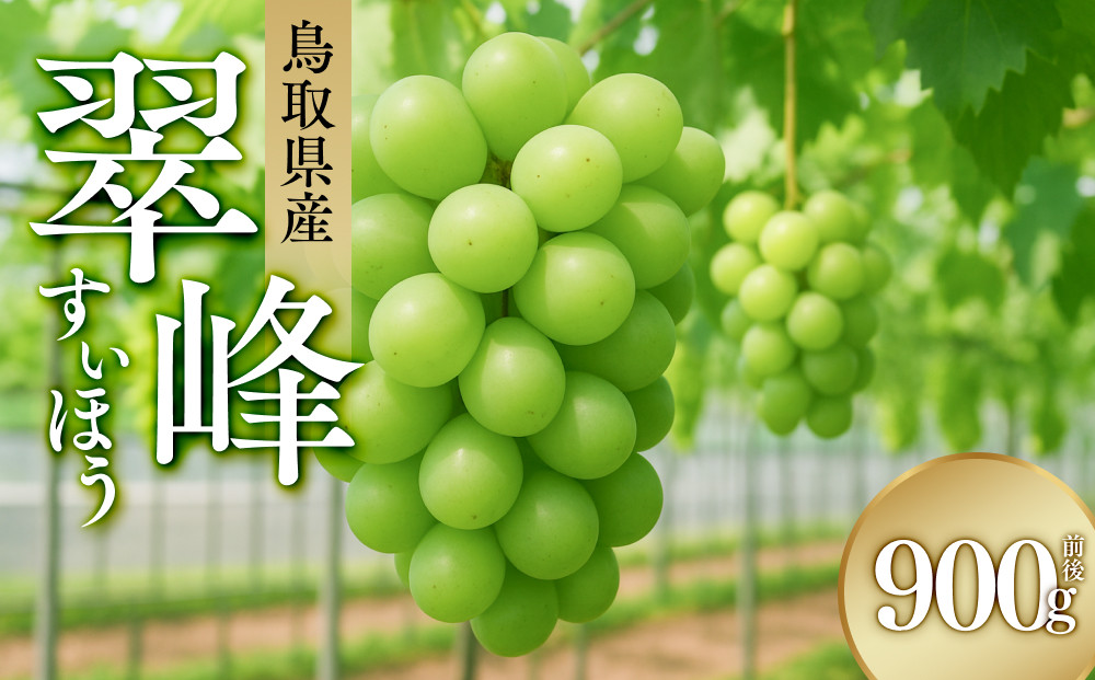 961.ぶどう　翠峰（すいほう）900g前後　※2025年9月中旬～下旬頃に順次発送予定　※北海道・東北・沖縄・離島への発送不可 313726_AA015