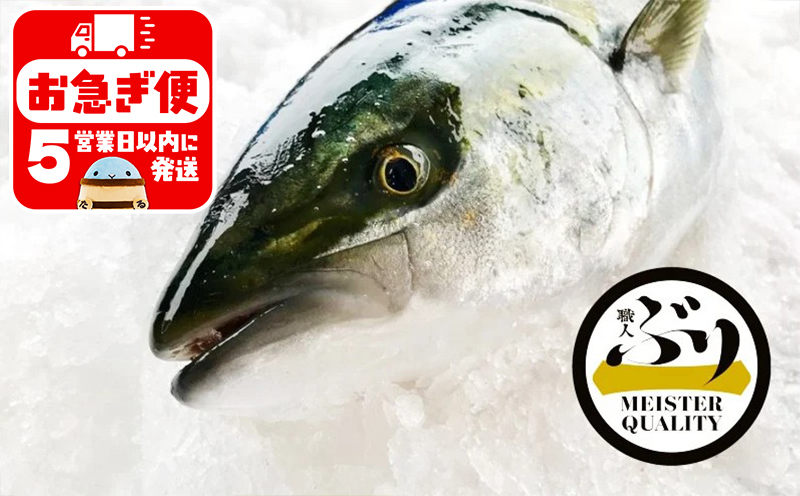 【鹿児島産ぶり】冷蔵・ぶり丸ごと1尾（内臓処理済み）