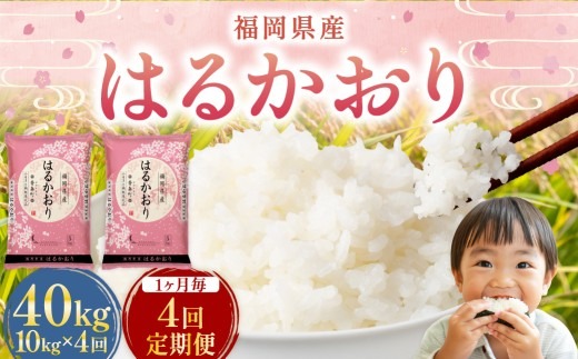 【1ヶ月毎4回定期便】 はるかおり 10kg 計40kg ／ 米 コメ お米 ライス ご飯 ごはん 飯 食品 精米 定期便 常温 福岡県 香春町