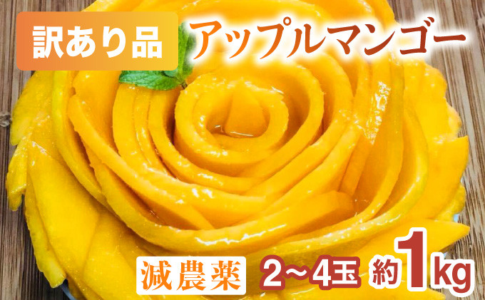 
            【訳あり】減農薬 アップルマンゴー 約1kg 2～4玉 【2025年7月上旬以降順次発送】アナナス農園 完熟 マンゴー 果物 フルーツ
          