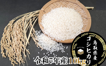 Y1072 鳥取県産「コシヒカリ」精白米10kg（令和7年産）