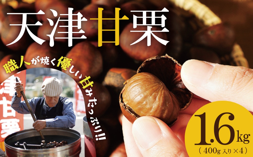 この道50年の職人が焼く､やさしい甘みたっっっぷり！｢天津甘栗｣ 1.6kg 焼きたて 栗 くり 栗爪 殻付き お菓子 おつまみ 人気 高リピート 小分け 栗ご飯 栗きんとん 甘露煮 碧南市 H045-082