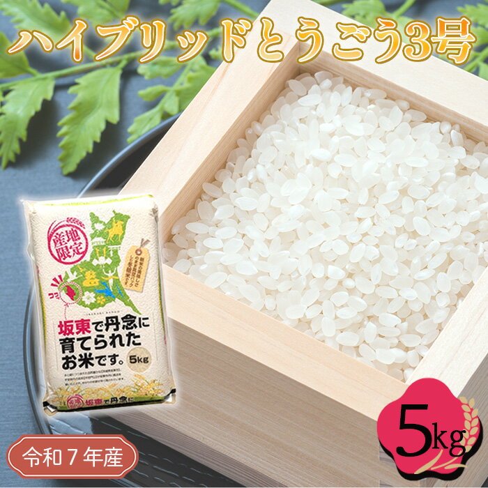 【ふるさと納税】 「令和7年産米」ハイブリッドとうごう3号　5kg ／ お米 コメ 粘り 送料無料 茨城県 No.760