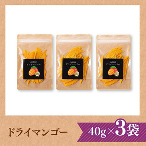 宮崎県産完熟マンゴー（果実の宝石）　ドライマンゴー3袋 【 宮崎県産 川南町 マンゴー ドライマンゴー】