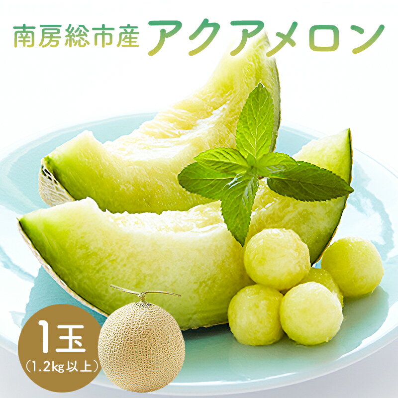 【ふるさと納税】 南房総市産アクアメロン（マスクメロン）1個 高評価レビュー 大人気 最高級品 厳選 メロン 化粧箱入り フルーツ 果物 デザート 農園 千葉県 南房総市 お取り寄せ グルメ 送料無料